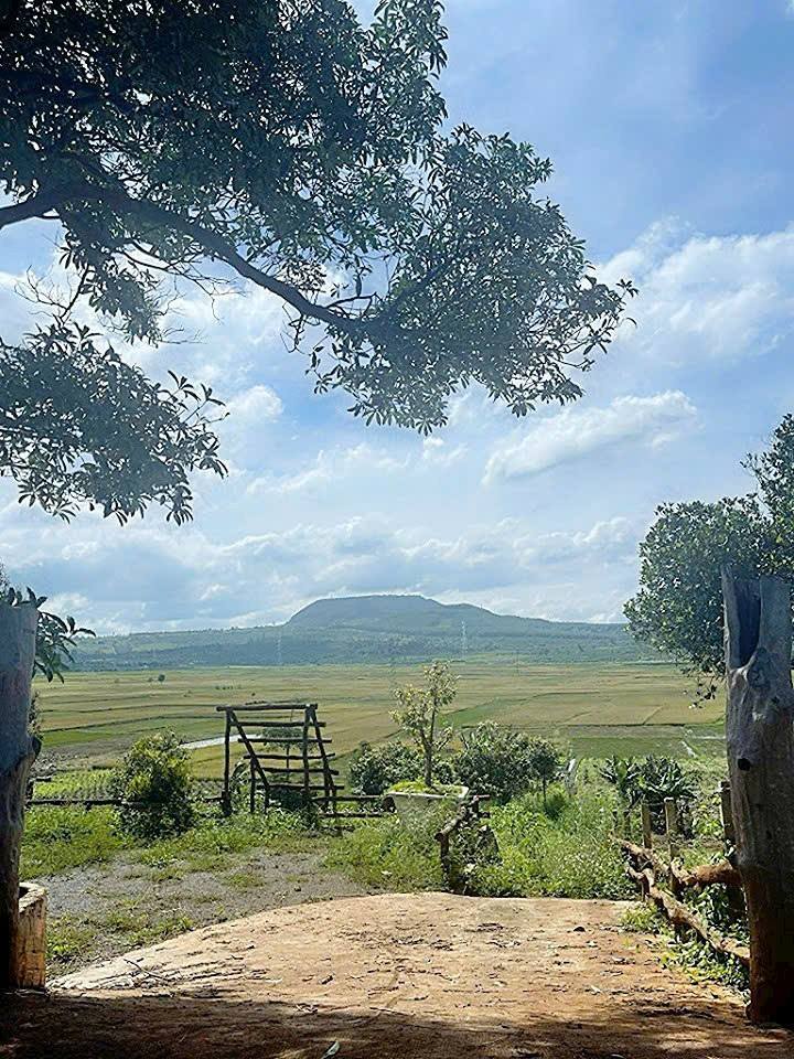 Đất nền Vũ Lăng, Pleiku 1200m² giá 560 triệu - View siêu đẹp, thích hợp trồng cây ăn trái!