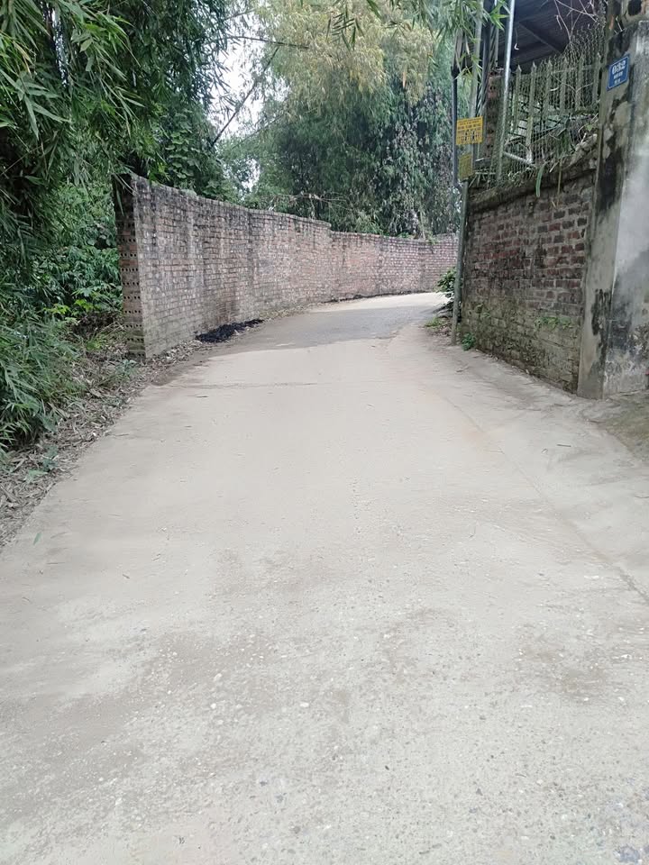 Nhà cấp 4 tổ 10 Đề Thám 217m² giá 1.1 tỷ - Vị trí gần trung tâm