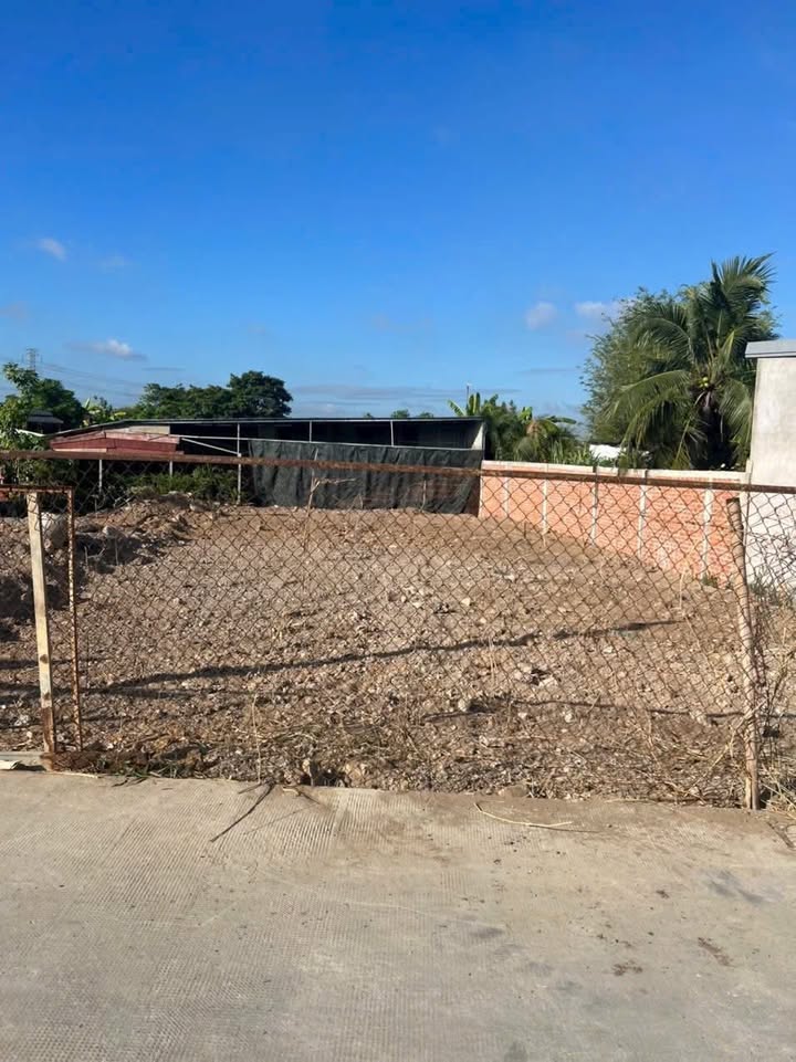 Đất nền hẻm 764 QL1, Khánh Hậu 130m² giá 1 tỷ - Đường bê tông sạch sẽ, dân cư đông đúc!