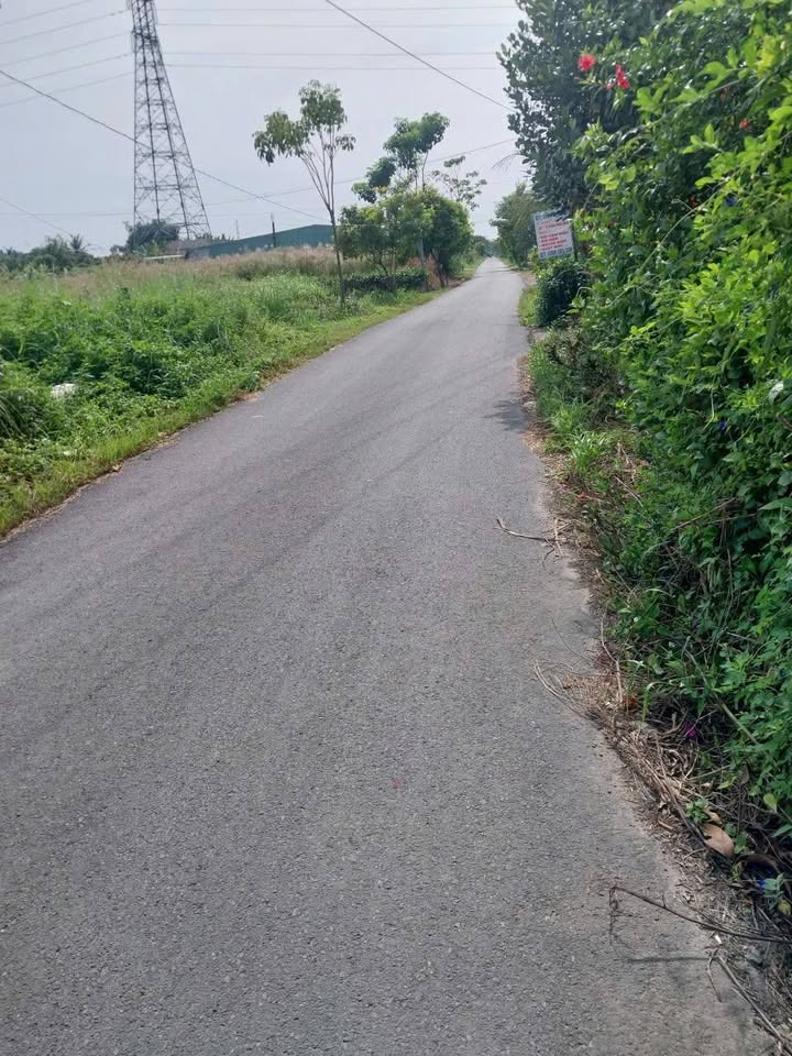 Đất thổ cư Nhựt Chánh, Long An 120m² giá 1.5 tỷ - Sổ hồng chính chủ, công chứng ngay!