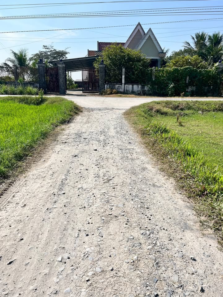 Đất nền thổ cư Đức Hòa Thượng 290m² giá 1.6 tỷ - Đầu tư sinh lời ngay!