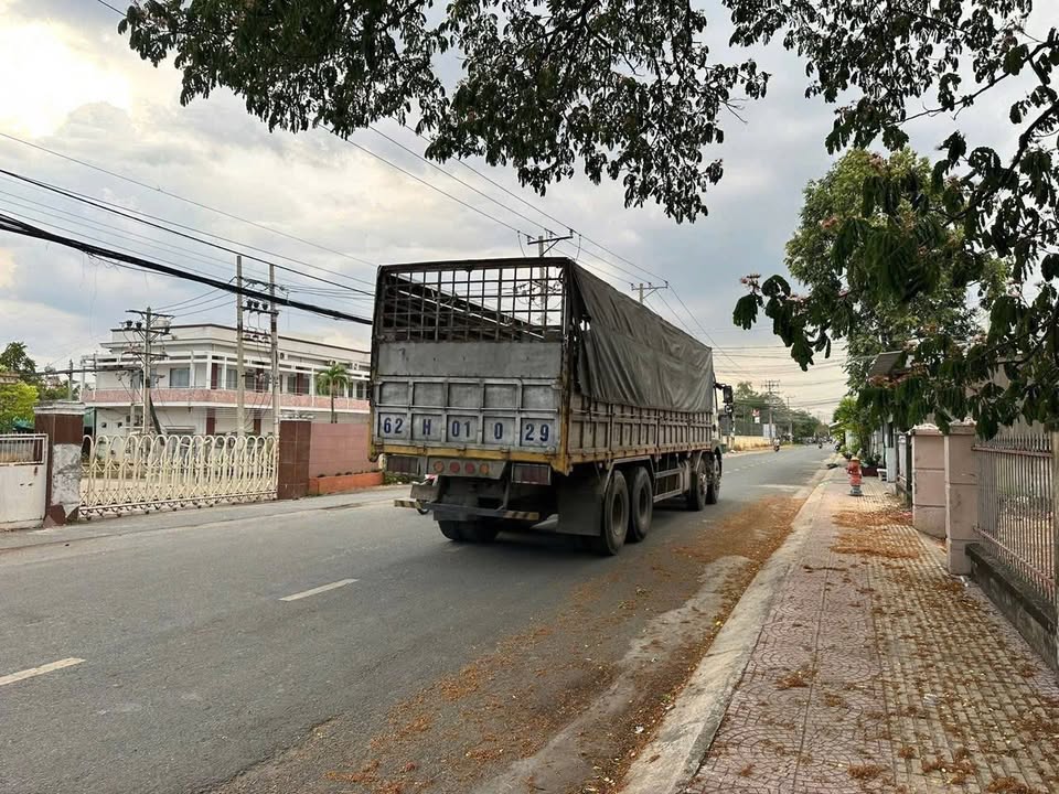 Đất nền 52m² tại P5 Tân An Long An giá chỉ 590 triệu - Sẵn sàng giao dịch!