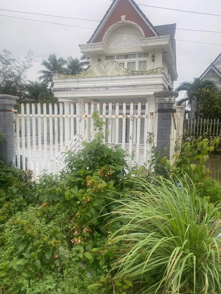 Nhà mặt tiền đường Tỉnh 901, xã Vĩnh Xuân, 340m² giá 3.2 tỷ - Vị trí kinh doanh đắc địa!