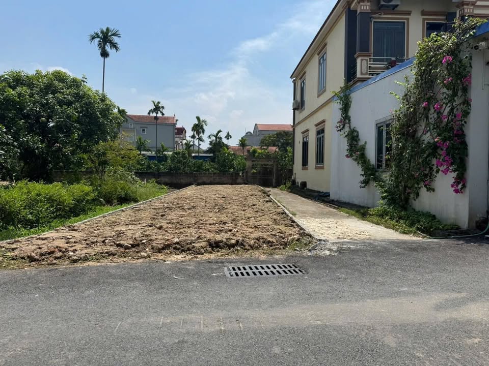 Đất lô góc Tân Dân 118m² giá 3 tỷ - Cần bán gấp!