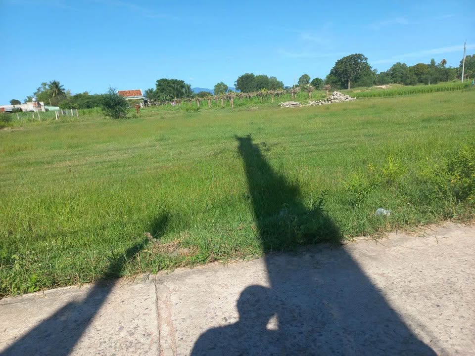 Đất thổ cư 1850m² tại Hàm Đức, 1.6 tỷ - Vị trí đắc địa cho đầu tư!