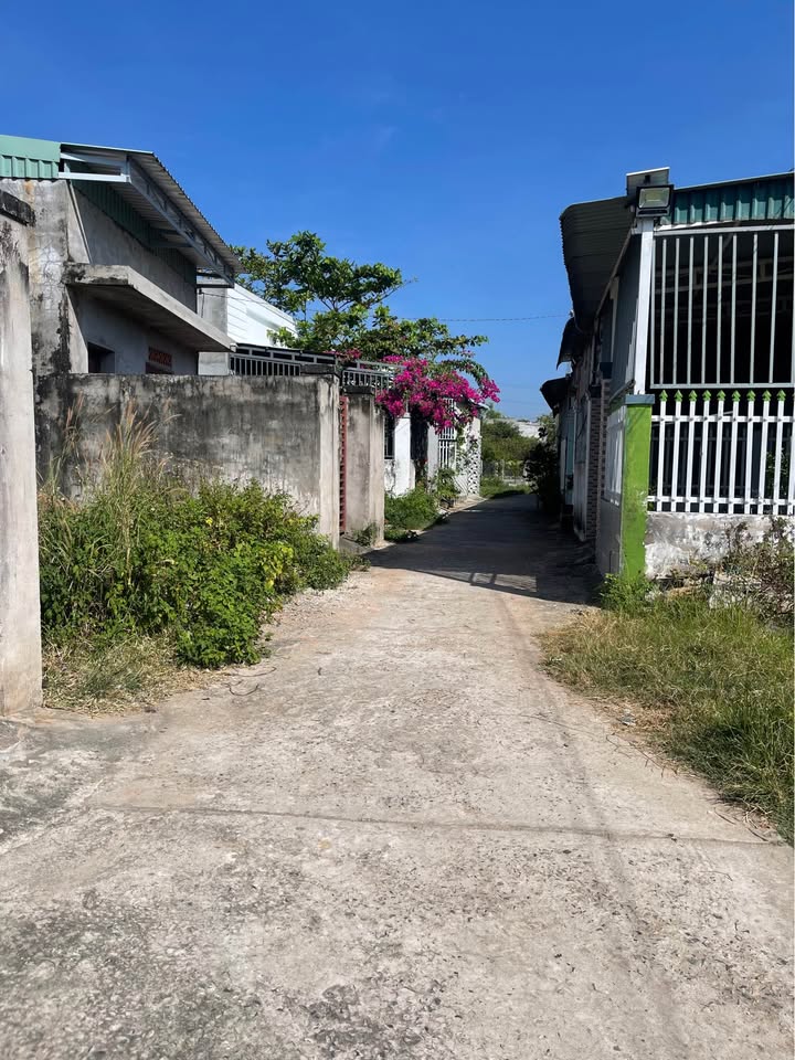 Đất nền Phong Nẫm Phan Thiết 100m² giá 560 triệu - Đầu tư sinh lời dễ dàng!