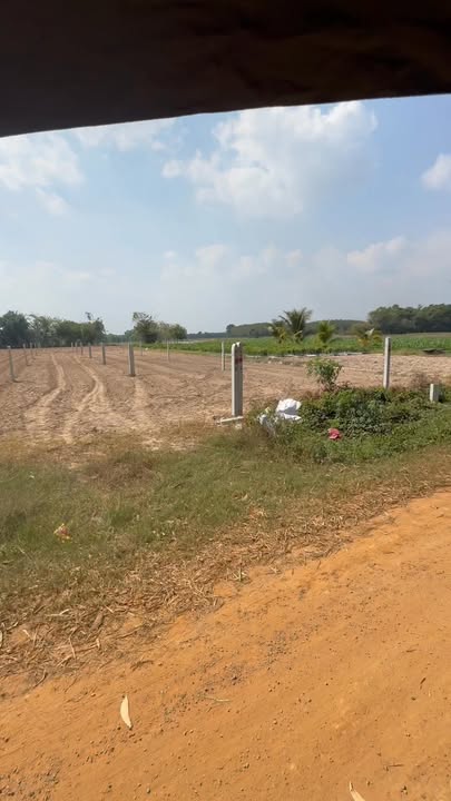 Đất thổ cư 334m² xã Long Chữ, Bến Cầu - Giá chỉ 390 triệu - Cơ hội hiếm có!