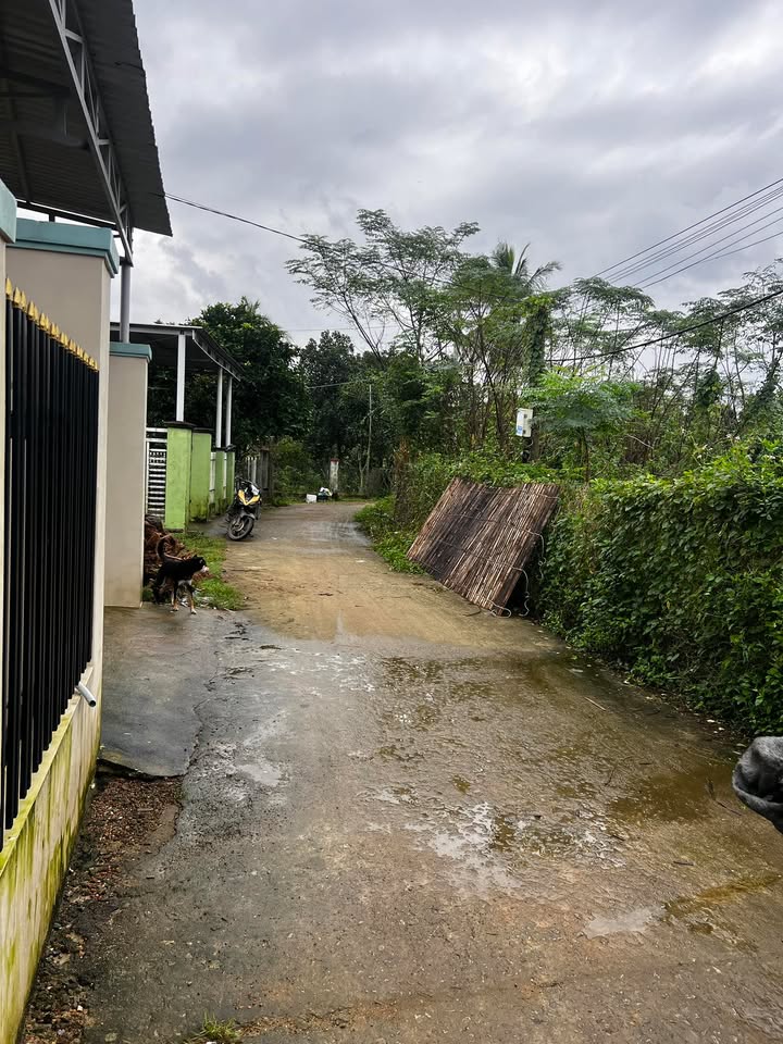 Đất Tam Quang Núi Thành 250m² giá chỉ 1.1 tỷ - Đầu tư sinh lời hấp dẫn!