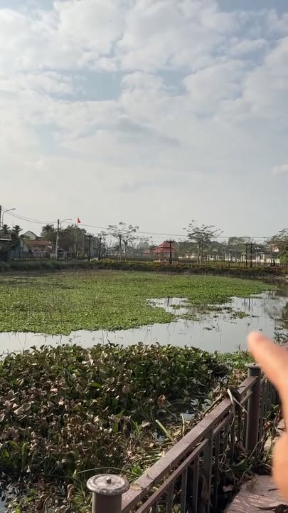 Đất nền Kim Liên 300m² giá 3 tỷ - Vị trí đẹp gần hồ sen!