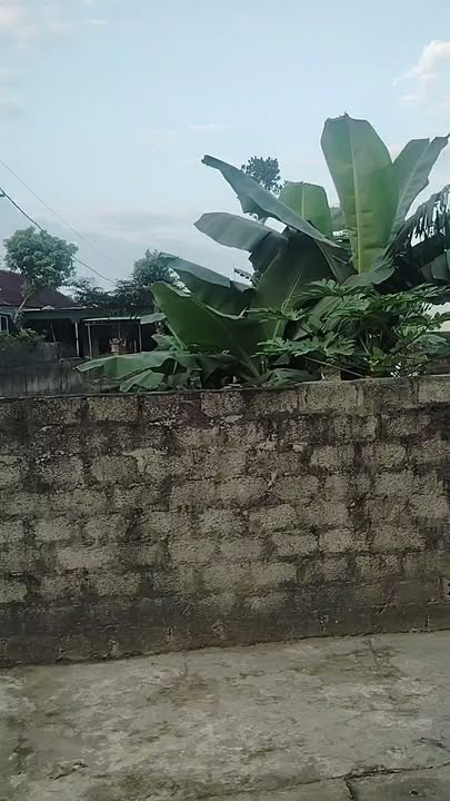 Đất nền Nam Thái, Nam Đàn 250m² - Vị trí lý tưởng để đầu tư!