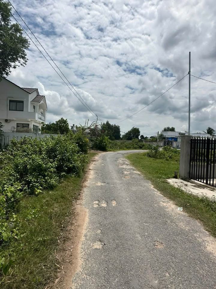 Đất thổ cư mặt tiền nhựa Cây Trắc, Gia Lộc 165m² giá 650 triệu - Cơ hội đầu tư tuyệt vời!