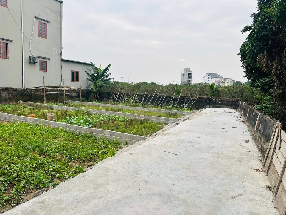 Đất thổ cư 66m² tại Đan Kim, Liên Nghĩa, Văn Giang giá 2.7 tỷ - Đầu tư sinh lời!