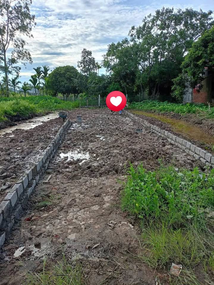 Lô đất 112m² Kiến An - Sổ đỏ chính chủ - Cơ hội đầu tư hấp dẫn!