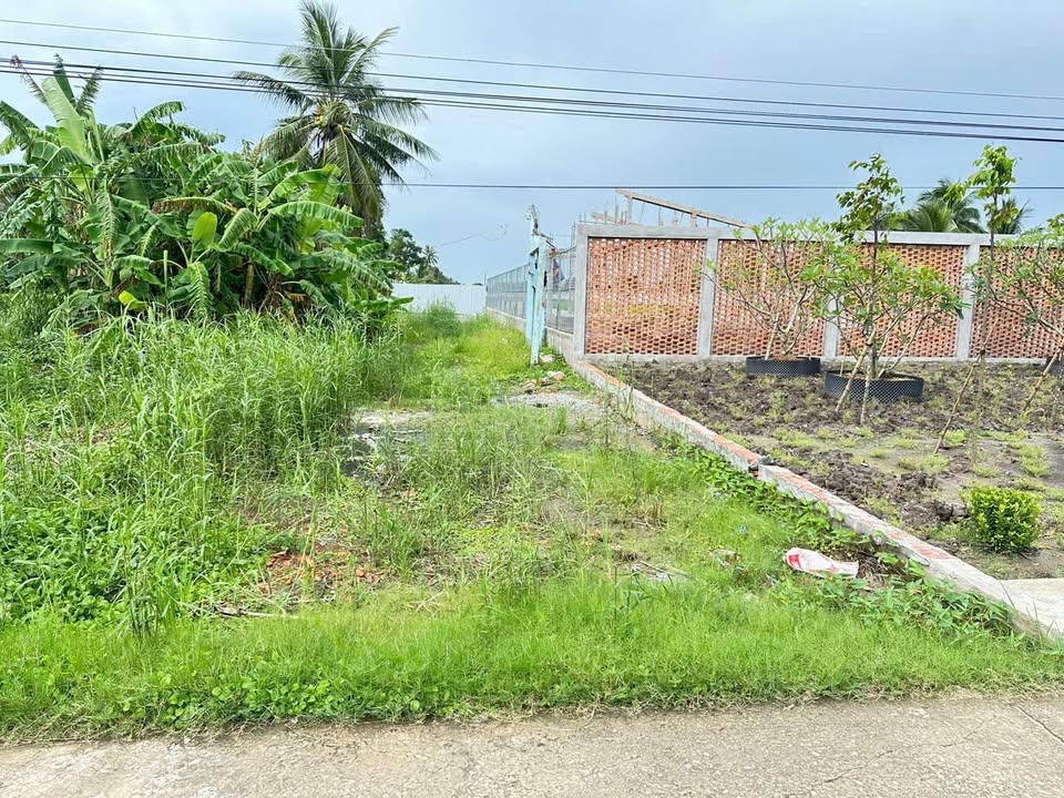 Đất nền ấp Rạch Lùm, xã Khánh Hưng, Cà Mau 540m² giá 450 triệu - Cơ hội đầu tư lý tưởng!