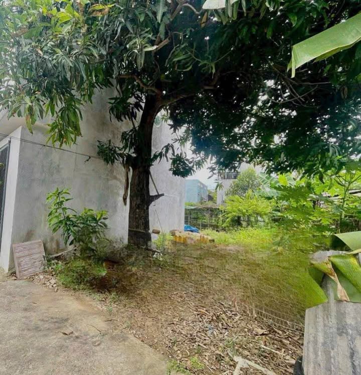 Đất nền hẻm Phạm Văn Đồng Quảng Ngãi 50m² giá 790 triệu - Cơ hội không thể bỏ lỡ!