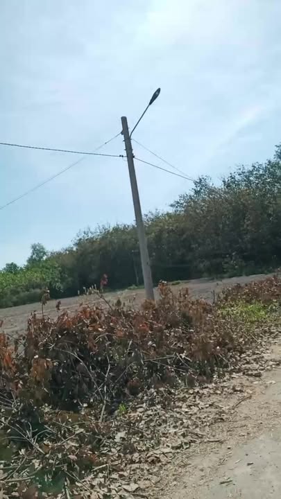 Đất nền Chơn Thành Bình Phước 250m² giá thỏa thuận - Sổ đỏ chính chủ