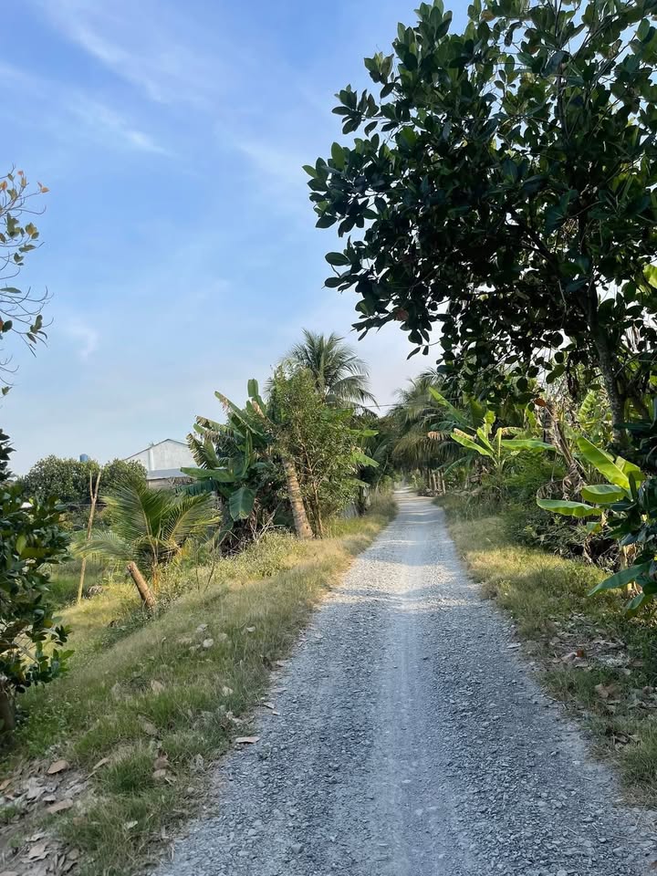 Đất ruộng lên vườn 5000m² xã Thanh Mỹ - Giá chỉ 1.5 tỷ, sẵn sàng giao dịch!