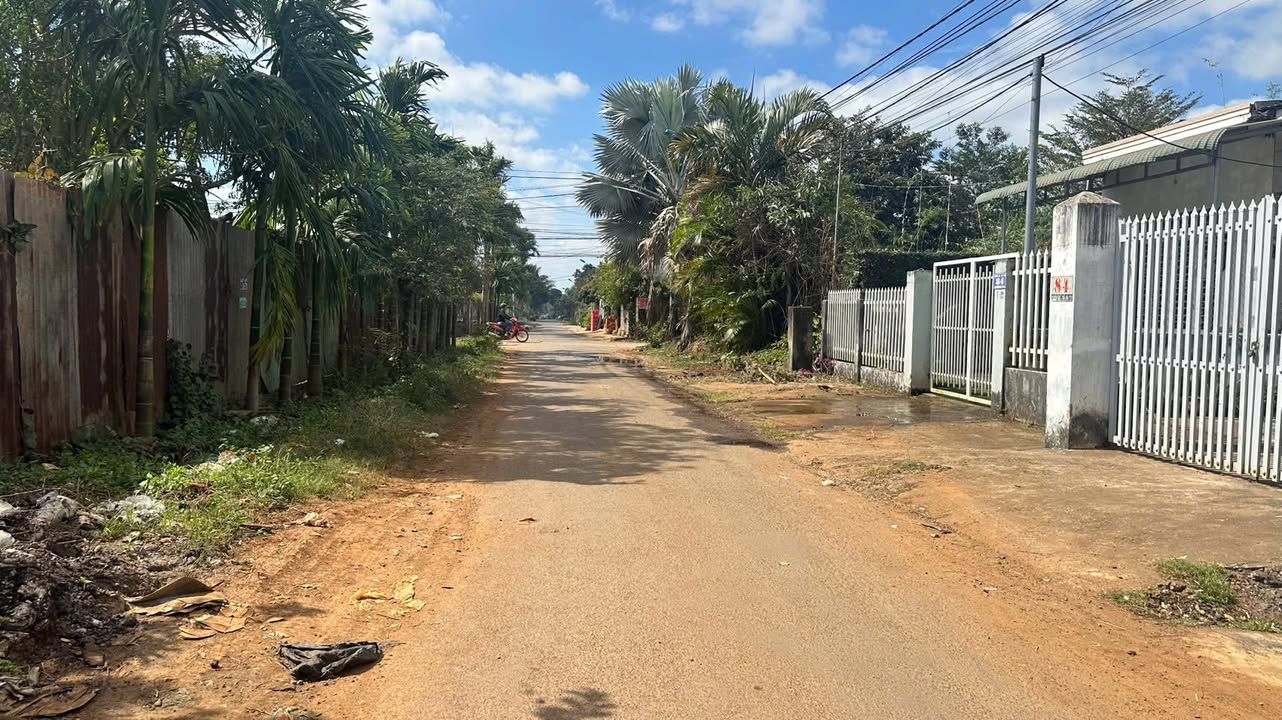 Đất hẻm N3, phường Tân An, Buôn Ma Thuột 205m² giá 2.2 tỷ - Đường nhựa 8m, tiện ích hoàn hảo!