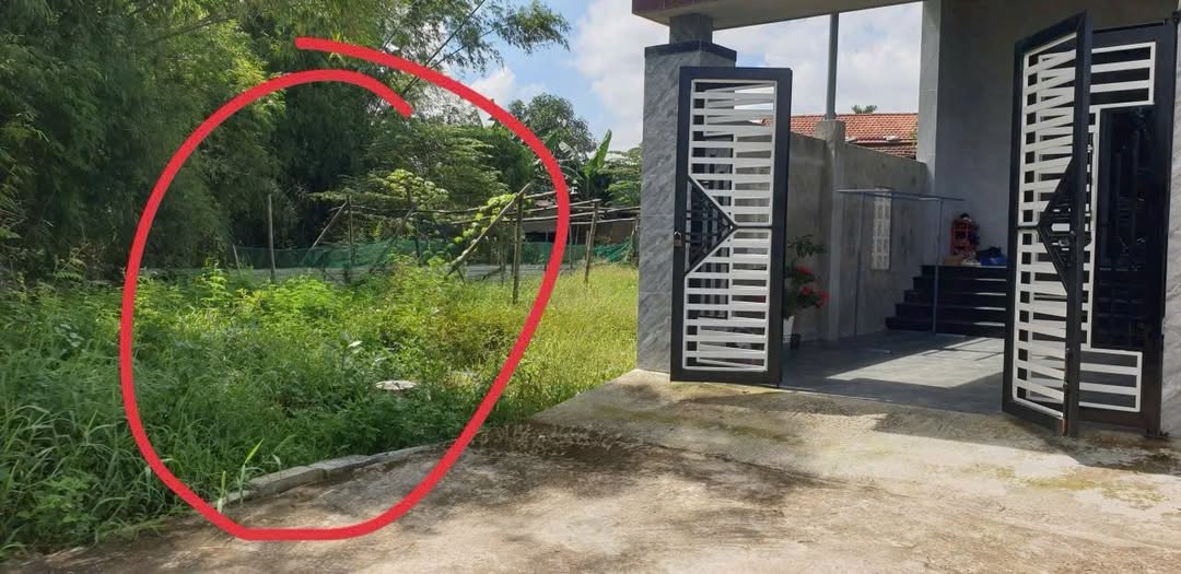 Đất nền Hòa Phong Đà Nẵng 299m² giá 2 tỷ - Đầu tư sinh lời ngay!