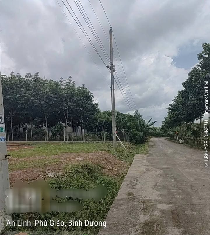 Đất nền An Linh Phú Giáo 252m² giá 590 triệu - Sổ hồng chính chủ, hỗ trợ vay ngân hàng!