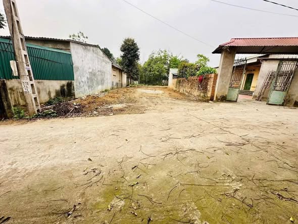 Đất nền Hướng Đạo, Tam Dương 180m² - Đầu tư sinh lời lý tưởng!