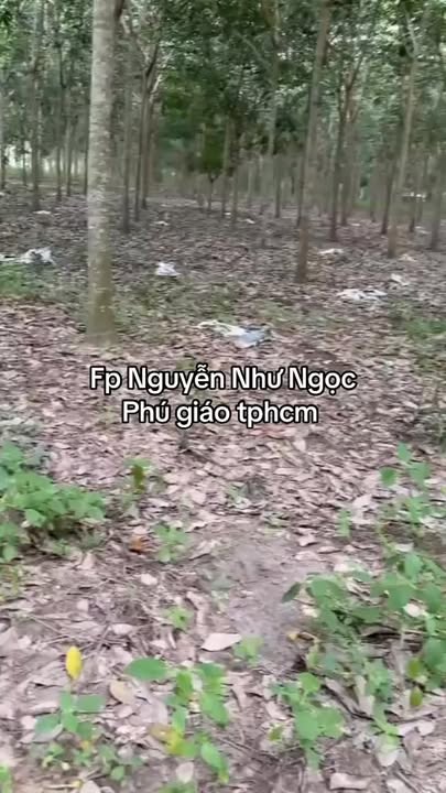 Đất nền Phước Thành, Phú Giáo 20,000m² - Giá thỏa thuận cực hấp dẫn!