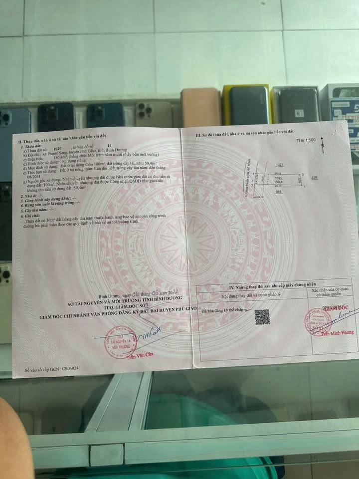 Đất nền 150m² đường Trạm Bơm Phước Sang - Phú Giáo giá chỉ 520 triệu