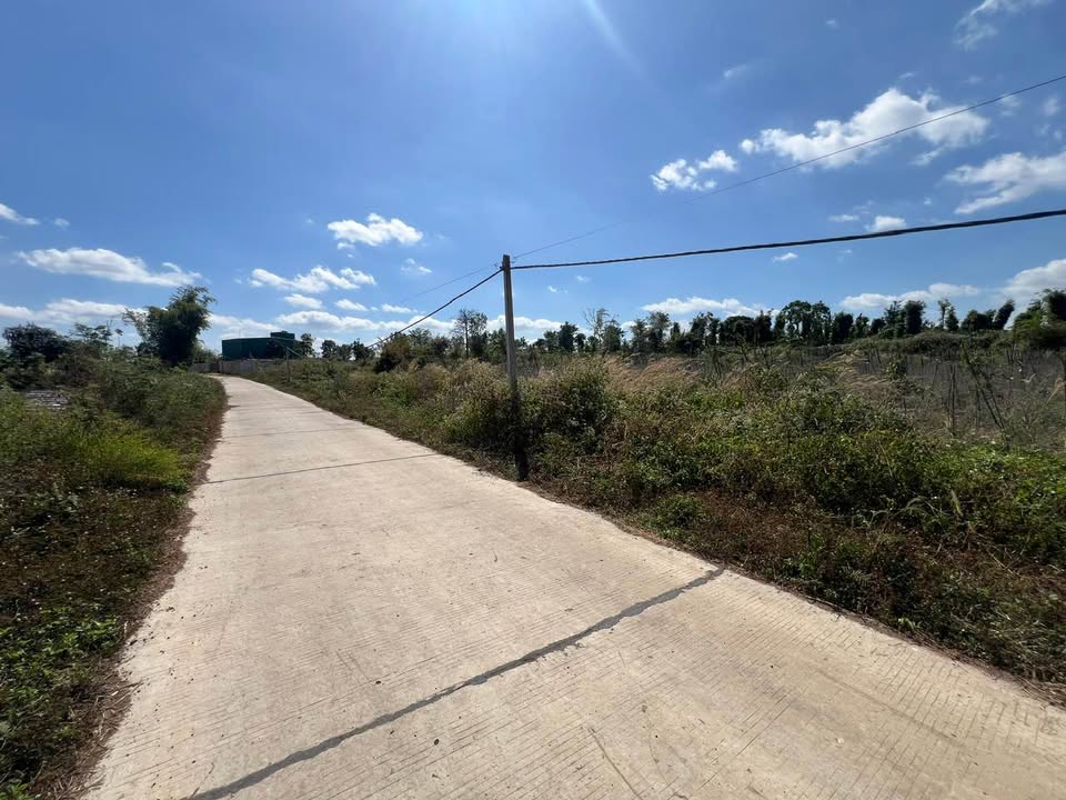 Đất phân lô tại Tân Hoà, Buôn Đôn 4114m² chỉ 41.14 tỷ - Cơ hội đầu tư hấp dẫn!