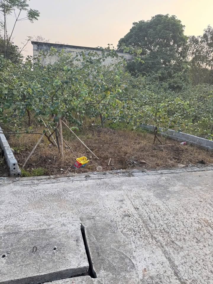 Đất nền Chương Dương, Thường Tín 81m² giá tốt - Đầu tư sinh lời cùng sóng VIN!