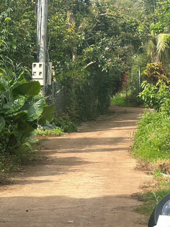 Farm đất sầu riêng 1 sào tại Tân Thủy, Long Khánh - Đầu tư sinh lời bền vững!