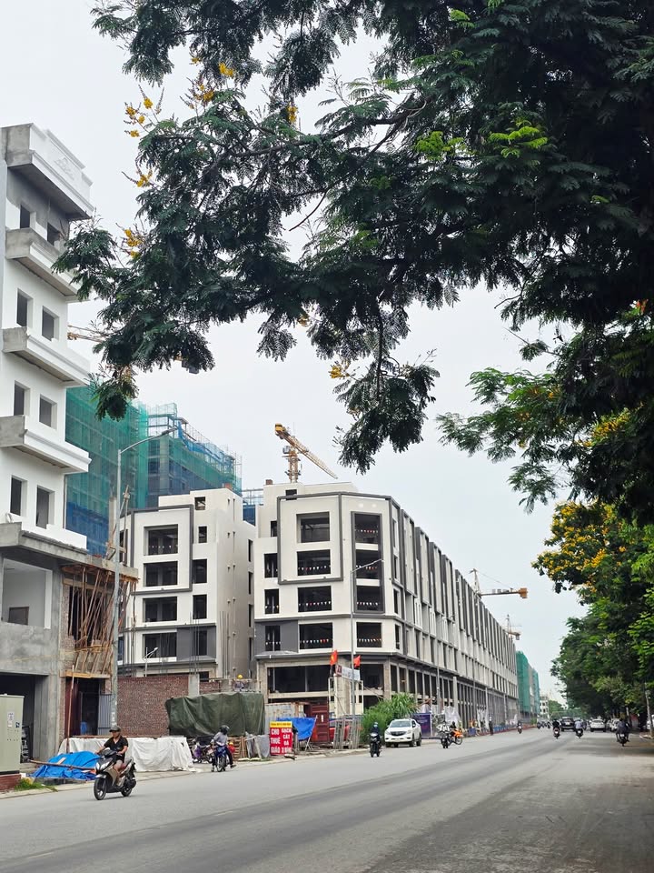 Đất TĐC mặt đường Lê Thánh Tông, Ngô Quyền, Hải Phòng 70m² - Vị trí đắc địa cho kinh doanh!