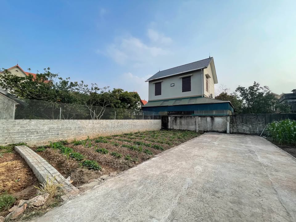 Đất đẹp Xóm 2 Chương Dương - Thường Tín 80m² - Tiềm năng tăng trưởng tốt!