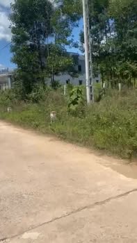 Đất thổ cư Quốc Tuấn Cẩm Mỹ 635m² giá 2.5 tỷ - Cơ hội đầu tư tuyệt vời!