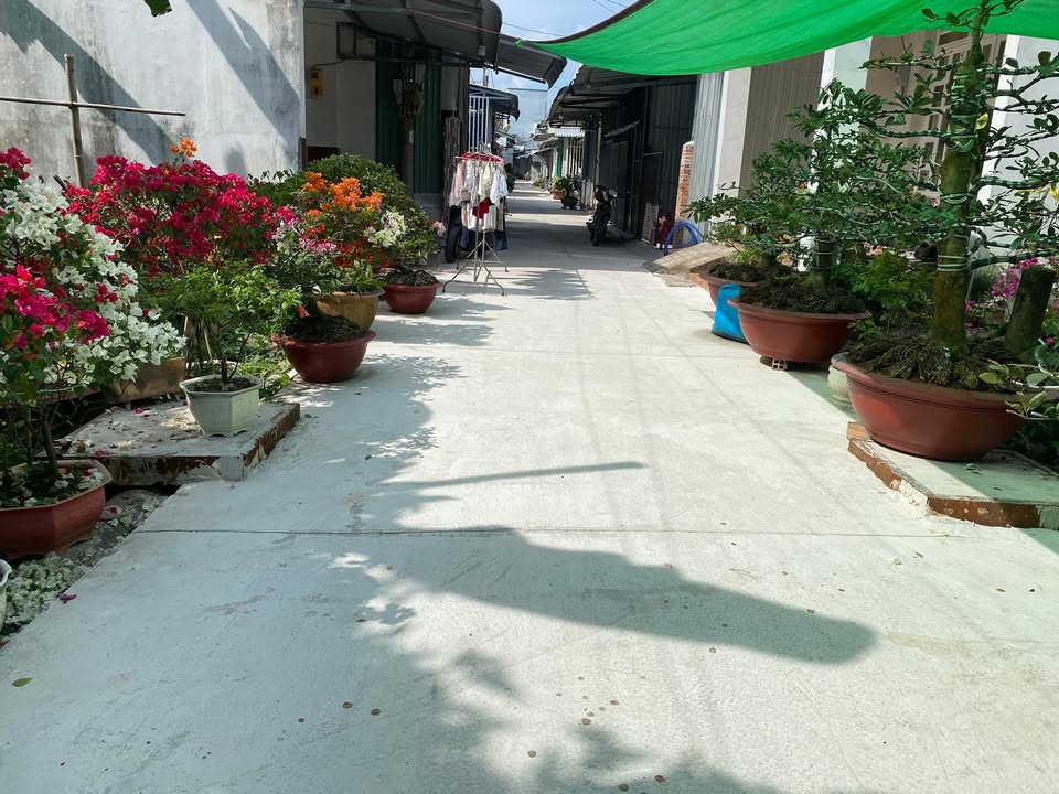 Đất nền 75m² mặt tiền đường Cầu Kè - Chỉ 380 triệu, thương lượng!