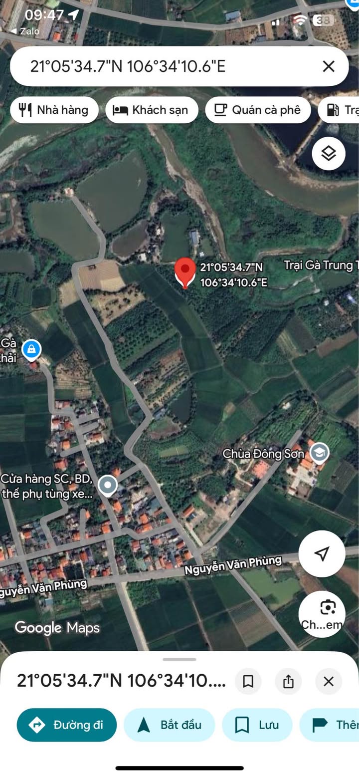 Đất trồng cây lâu năm tại Mạo Khê - 3751m² - Giá chỉ 400 triệu!