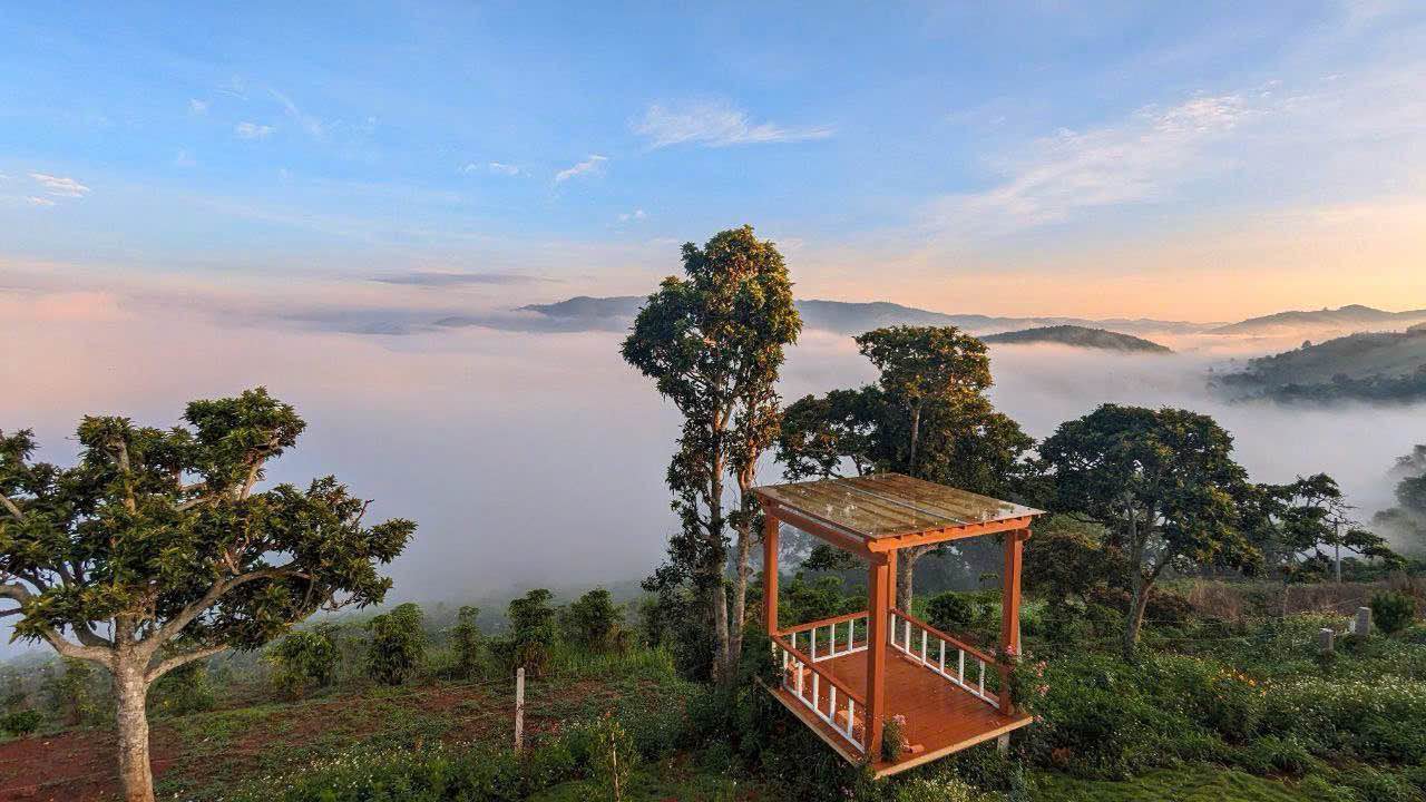 Đất nền Phi Tô Lâm Hà 1200m² giá 4.2 tỷ - Đầu tư sinh lời hấp dẫn!