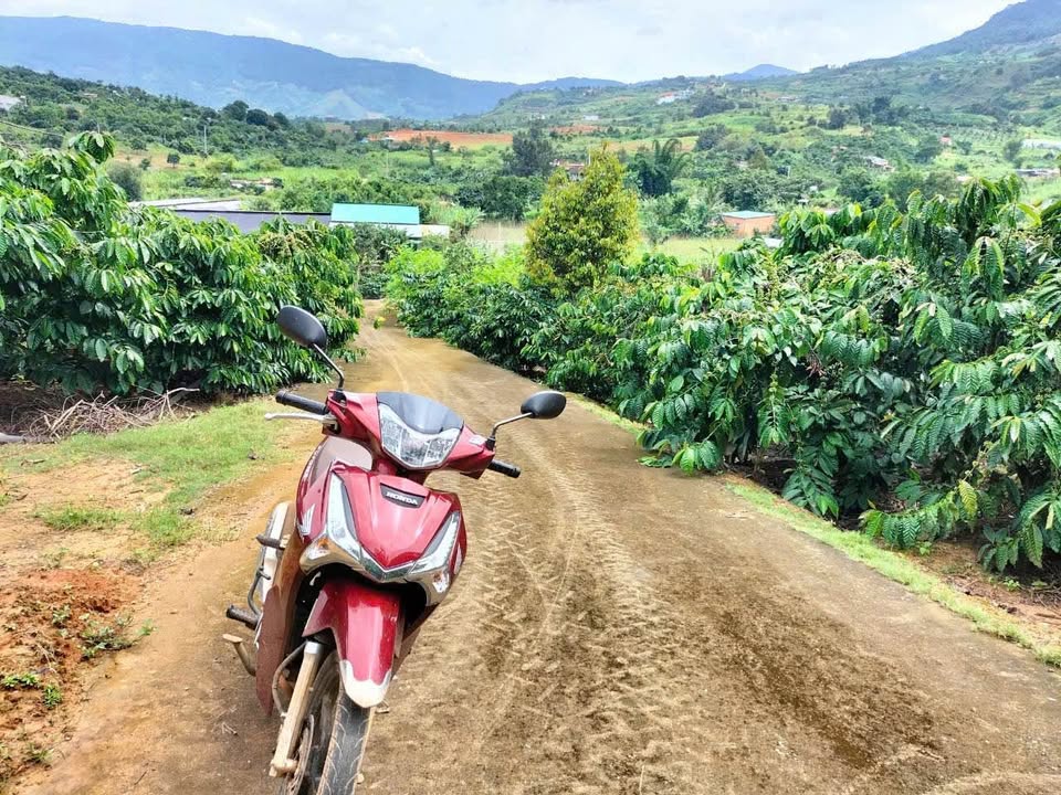 Đất Farm Đông Thanh Lâm Hà 2450m² giá 1.85 tỷ - Đầu tư sinh lời hấp dẫn!