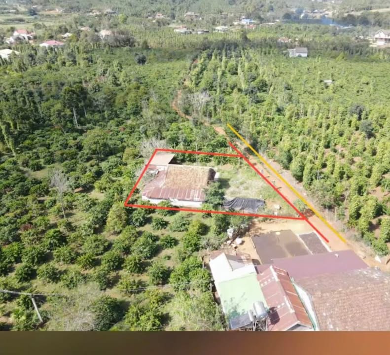 Đất thổ cư E29 Đắk Mol 600m² giá chỉ 380 triệu - Cơ hội đầu tư tuyệt vời!