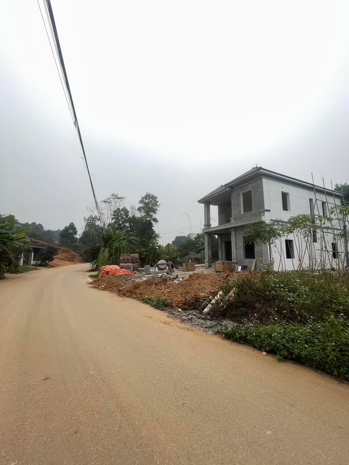 Đất nền Phú Hộ 118m² giá 1 tỷ - Cơ hội đầu tư tuyệt vời!