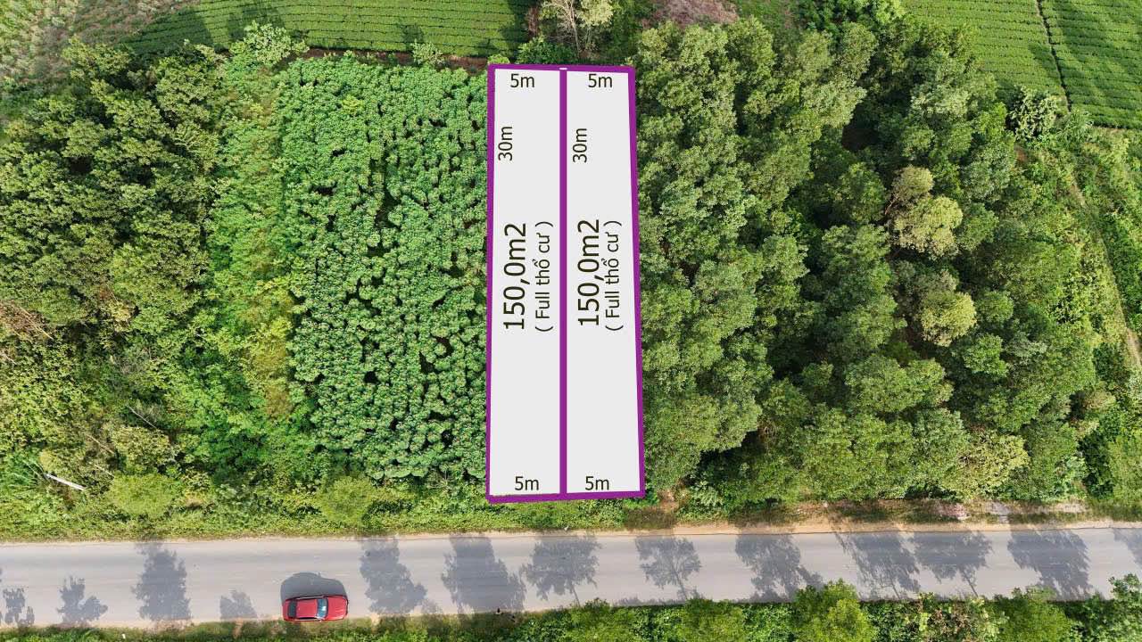 Đất thổ cư Sơn Hùng, Thanh Sơn 300m² giá chỉ 800 triệu - Tiềm năng phát triển vượt trội!