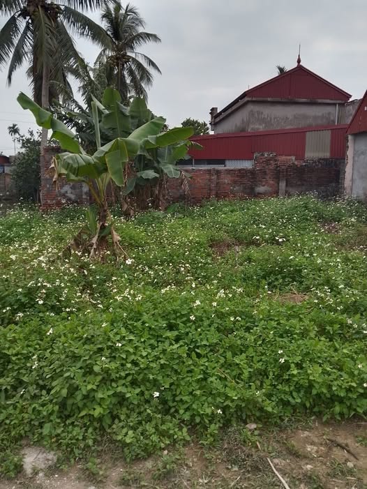 Đất thổ cư Vĩnh Hải 134.5m² giá 800 triệu - Cần bán gấp