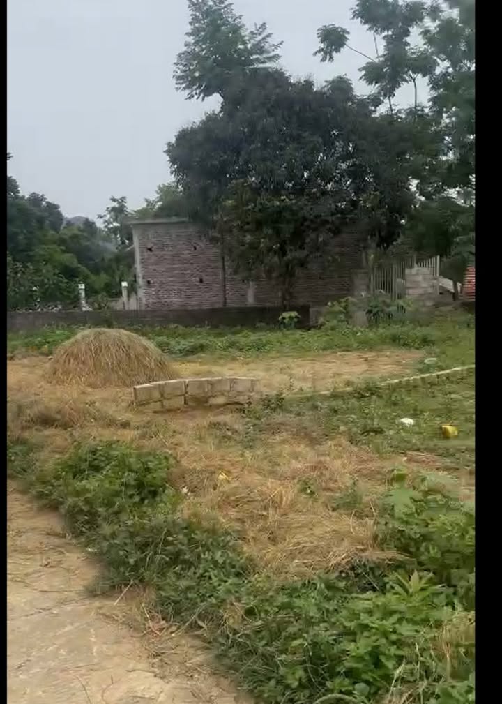 Đất thổ cư An Thịnh Lương Sơn 100m² giá thỏa thuận - Sổ đỏ chính chủ giao ngay!