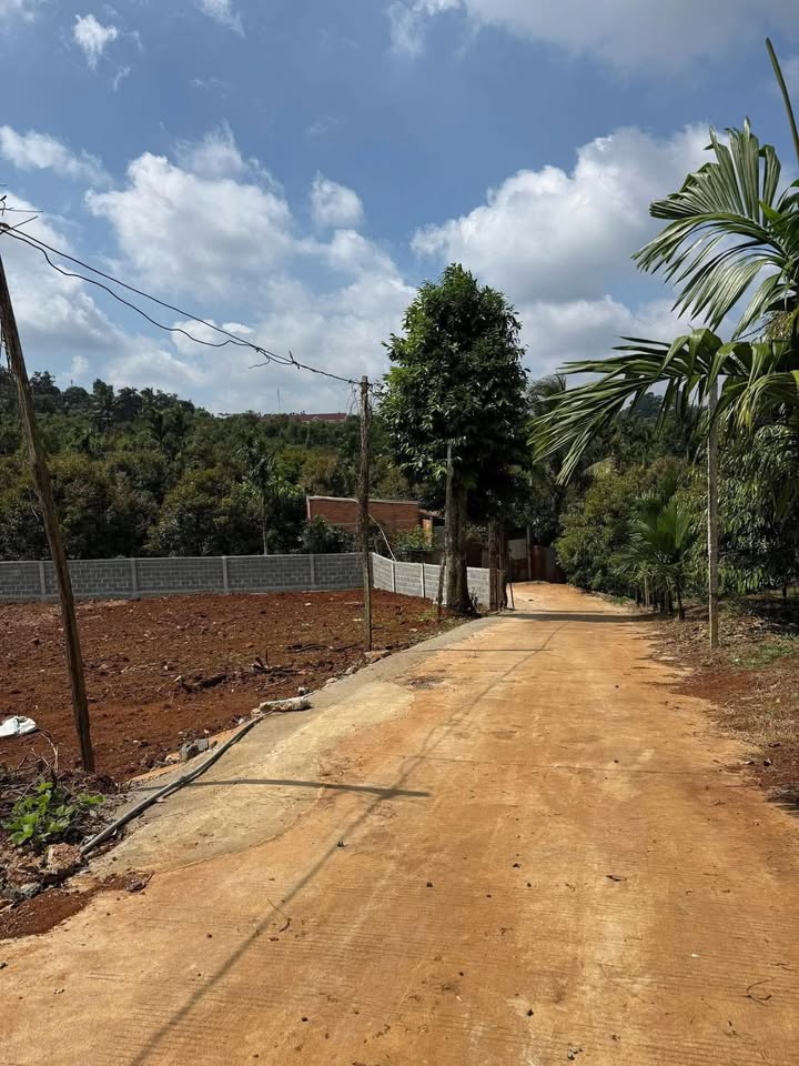 Đất nền Buôn Hồ 870m² giá 3 tỷ - Cơ hội đầu tư không thể bỏ qua!