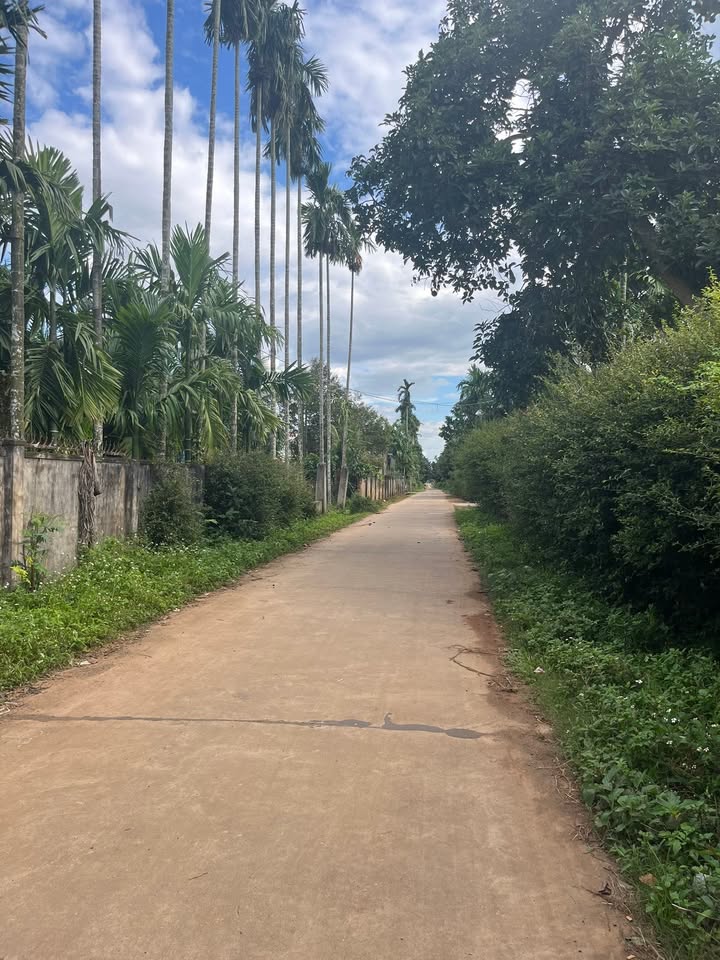 Đất thổ cư 612m² tại thôn 1, xã Ea Ktur, Đắk Lắk - Giá 969 triệu, gần trường học!