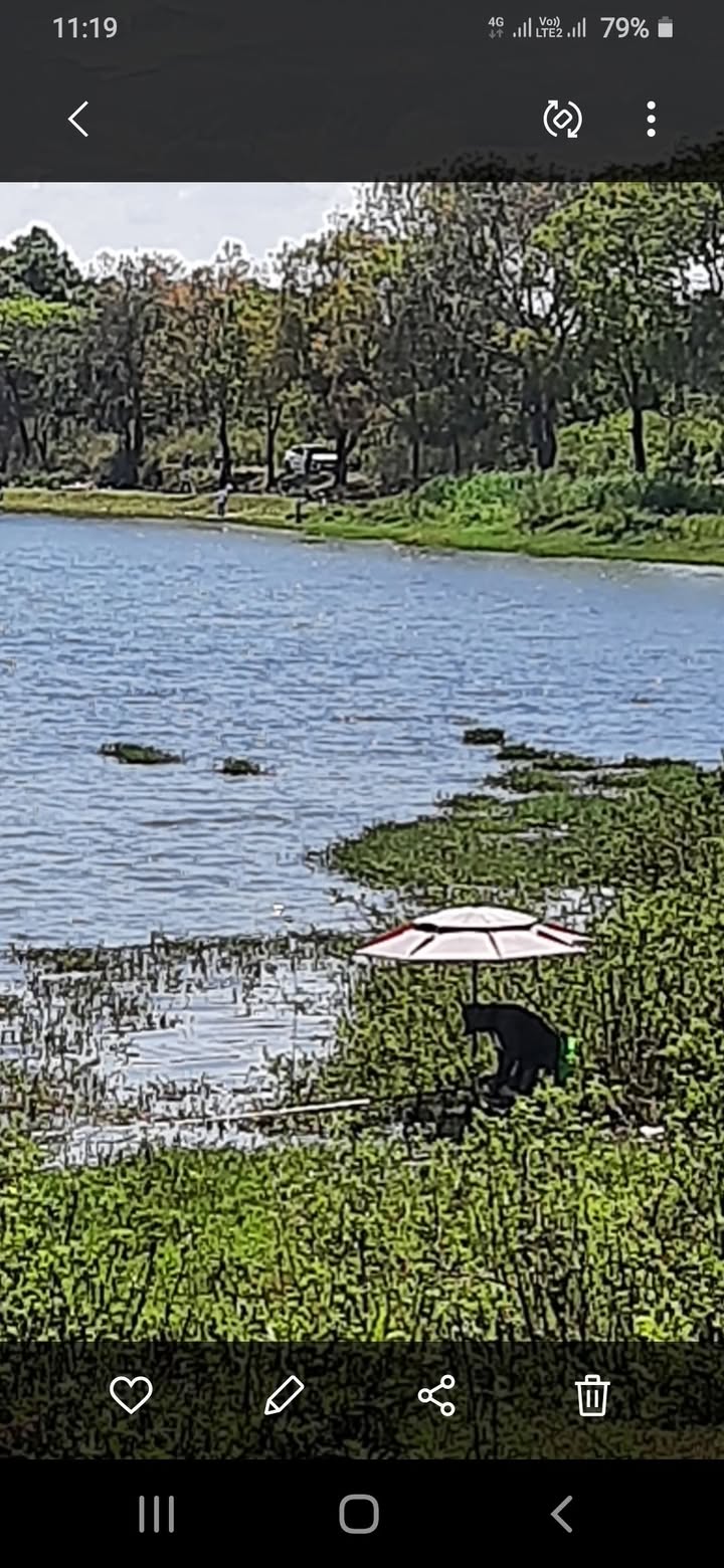 Cho thuê Farm 2500m² tại Trà Đa, Pleiku - Mô hình sinh thái lý tưởng!