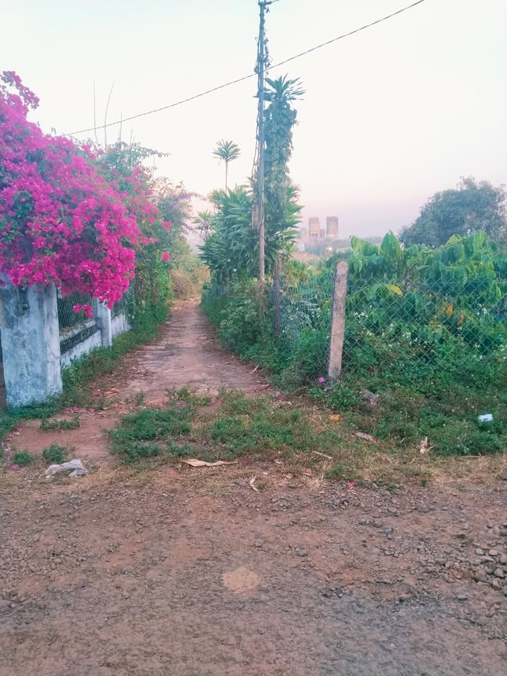 Đất nền hẻm 82 Hà Huy Tập, Phường Thống Nhất, 168m² chỉ 400 triệu - Cơ hội đầu tư sinh lời!