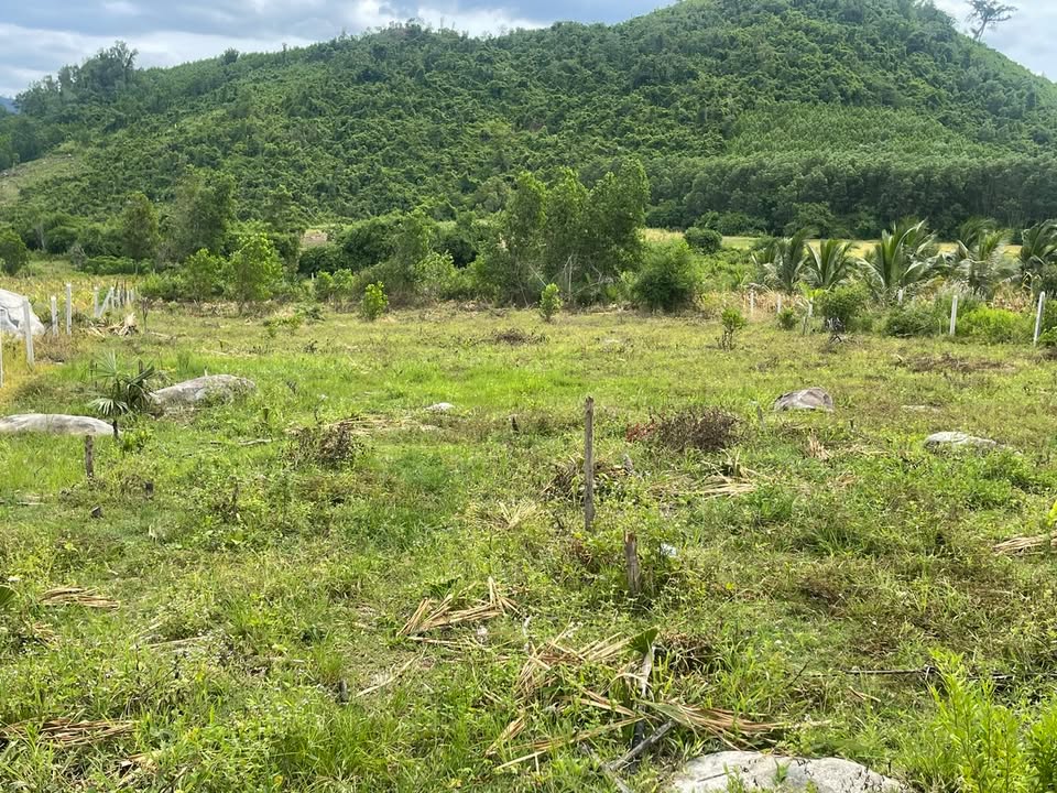 Đất nền Khánh Vĩnh 4.951,8m² giá chỉ 3,61 tỷ - Cơ hội đầu tư sinh lời!