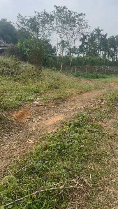 Đất rừng sản xuất + Thổ cư Yên Thủy 2ha giá 3 tỷ - Cơ hội đầu tư tuyệt vời!