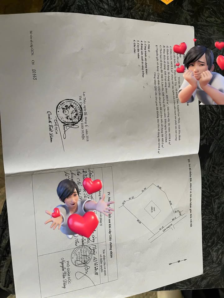 Lô đất nghỉ dưỡng Đồng Tâm Lạc Thủy 6458m² giá 8 tỷ - Lưng tựa núi, thuận lợi đầu tư!