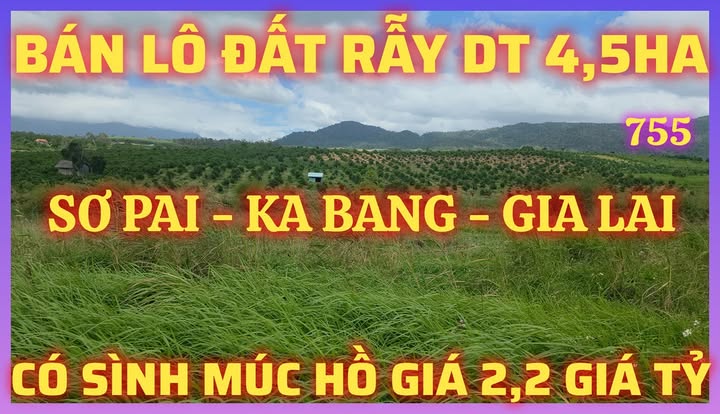 Đất rẫy 4.5ha tại xã Sơ Pai, huyện Kbang, giá 2.2 tỷ - Đầu tư sinh lời ngay!